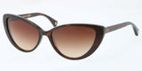 Coach 8075 Sunglasses