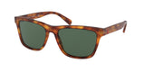 Polo 4167 Sunglasses