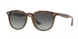 Ray Ban 4259F Sunglasses