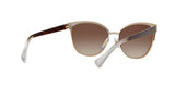 933613 - Gradient Brown