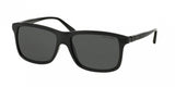 Polo Automotive Evolution 4084 Sunglasses