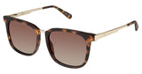 Sperry SPNEWBURYPORT Sunglasses