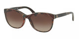 Polo 4117 Sunglasses