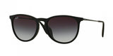 Ray Ban Erika 4171F Sunglasses
