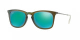 Ray Ban 4221 Sunglasses