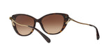 548574 - Dark Tortoise - Brown Gradient