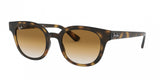 Ray Ban 4324F Sunglasses