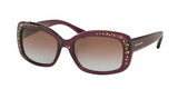 Coach L146 8161 Sunglasses