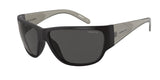 Arnette Wolflight 4280 Sunglasses
