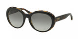 Coach 8077 Sunglasses