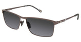 Champion CU6041 Sunglasses