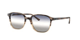 Ray Ban Leonard 2193 Sunglasses