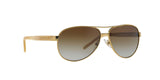 101/T5 - Gold - Polar Brown Gradient