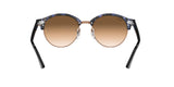 125651 - Havana - Clear Gradient Brown