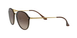 710/13 - Havana - Brown Gradient