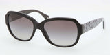 Coach 8036 Sunglasses