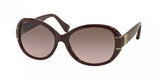 Coach L086 Blaine 8115 Sunglasses