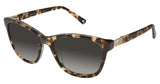 Sperry SPSANKATY Sunglasses
