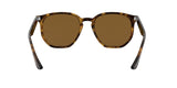 710/83 - Havana - Polar Brown