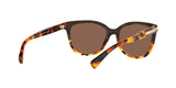 5438T5 - Havana - Brown Gradient Polar