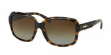 Coach L112 8141 Sunglasses