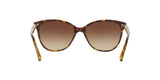 300213 - Havana - Brown Gradient