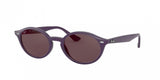 Ray Ban 4315 Sunglasses