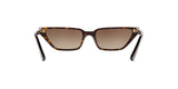 W65613 - Dark Havana - Brown Gradient