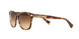 528713 - Light Brown - Brown Gradient