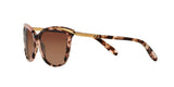 1463T5 - Havana - Brown Gradient Polarized