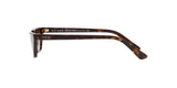 W65613 - Dark Havana - Brown Gradient