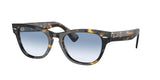 Ray Ban Laramie 2201 Sunglasses