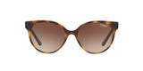 W65613 - Havana - Brown Gradient