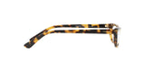2605 - Brown Yellow Tortoise