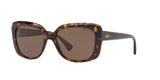 500373 - Shiny Dark Havana - Brown