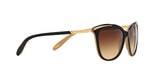 109013 - Black - Brown Gradient