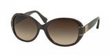 Coach L086 Blaine 8115 Sunglasses