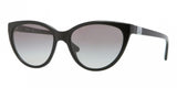 Donna Karan New York DKNY 4095 Sunglasses