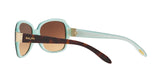601/13 - Havana - Brown Gradient