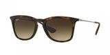 Ray Ban 4221 Sunglasses