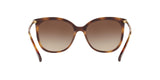 500313 - Havana - Gradient Brown