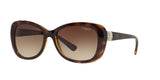 W65613 - Havana - Brown Gradient