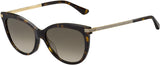 Jimmy Choo Axelle Sunglasses