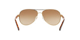 420/13 - Havana - Brown Gradient