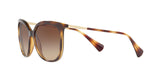 500313 - Havana - Gradient Brown