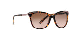 146114 - Pink - Brown Rose Gradient