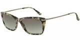 Giorgio Armani 8019 Sunglasses