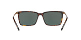 600171 - Dk Tortoise - Green Solid