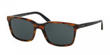Polo 4103 Sunglasses