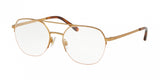 Polo 1183 Eyeglasses